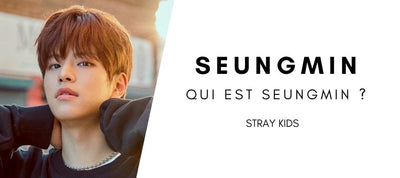 Wer ist Seungmin [streunende Kinder]?