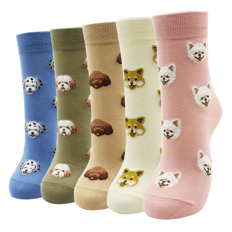 Lot de 5 paires de chaussettes amusantes - KoreanxWear