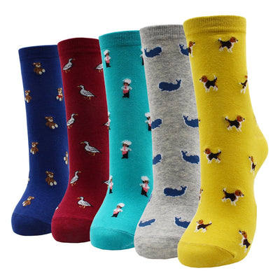 Lot de 5 paires de chaussettes amusantes - KoreanxWear