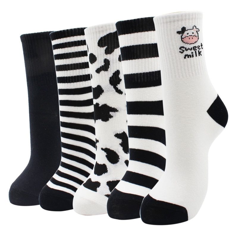 Lot de 5 paires de chaussettes amusantes - KoreanxWear