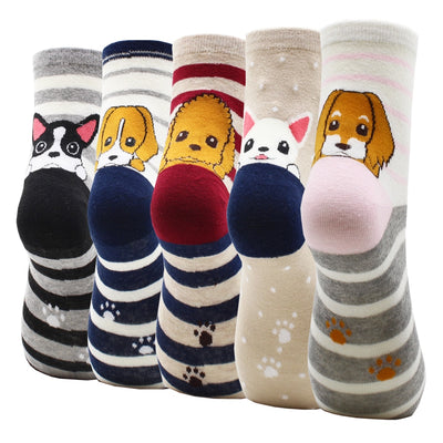 Lot de 5 paires de chaussettes amusantes - KoreanxWear