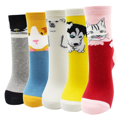 Lot de 5 paires de chaussettes amusantes - KoreanxWear